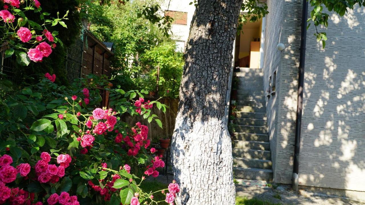 Hedgehog's - Jezeva Kucica Free Parking Appartement *