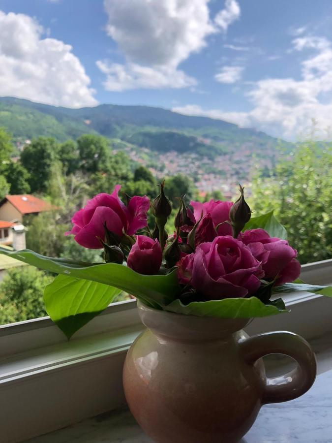 Hedgehog's - Jezeva Kucica Free Parking Apartamento Sarajevo